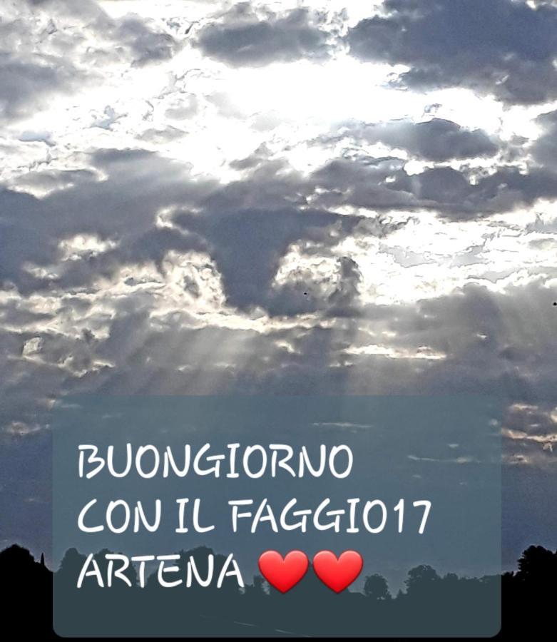 Il Faggio 17 B&B 阿尔泰纳 外观 照片