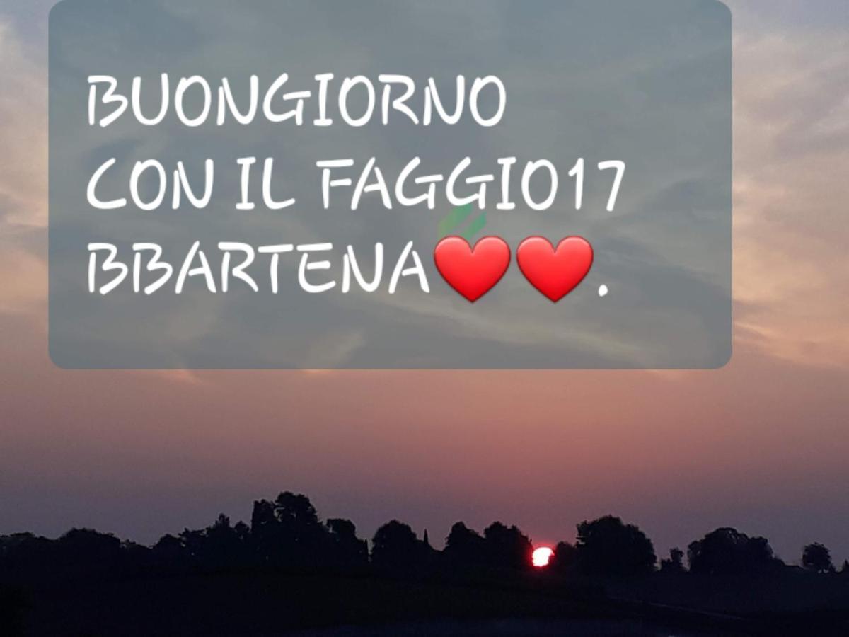 Il Faggio 17 B&B 阿尔泰纳 外观 照片