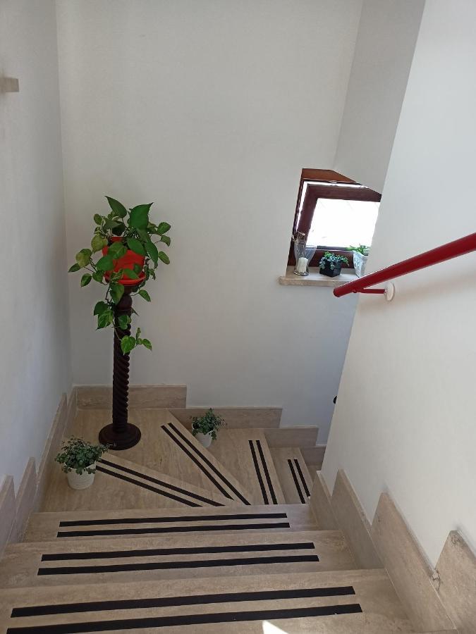 Il Faggio 17 B&B 阿尔泰纳 外观 照片