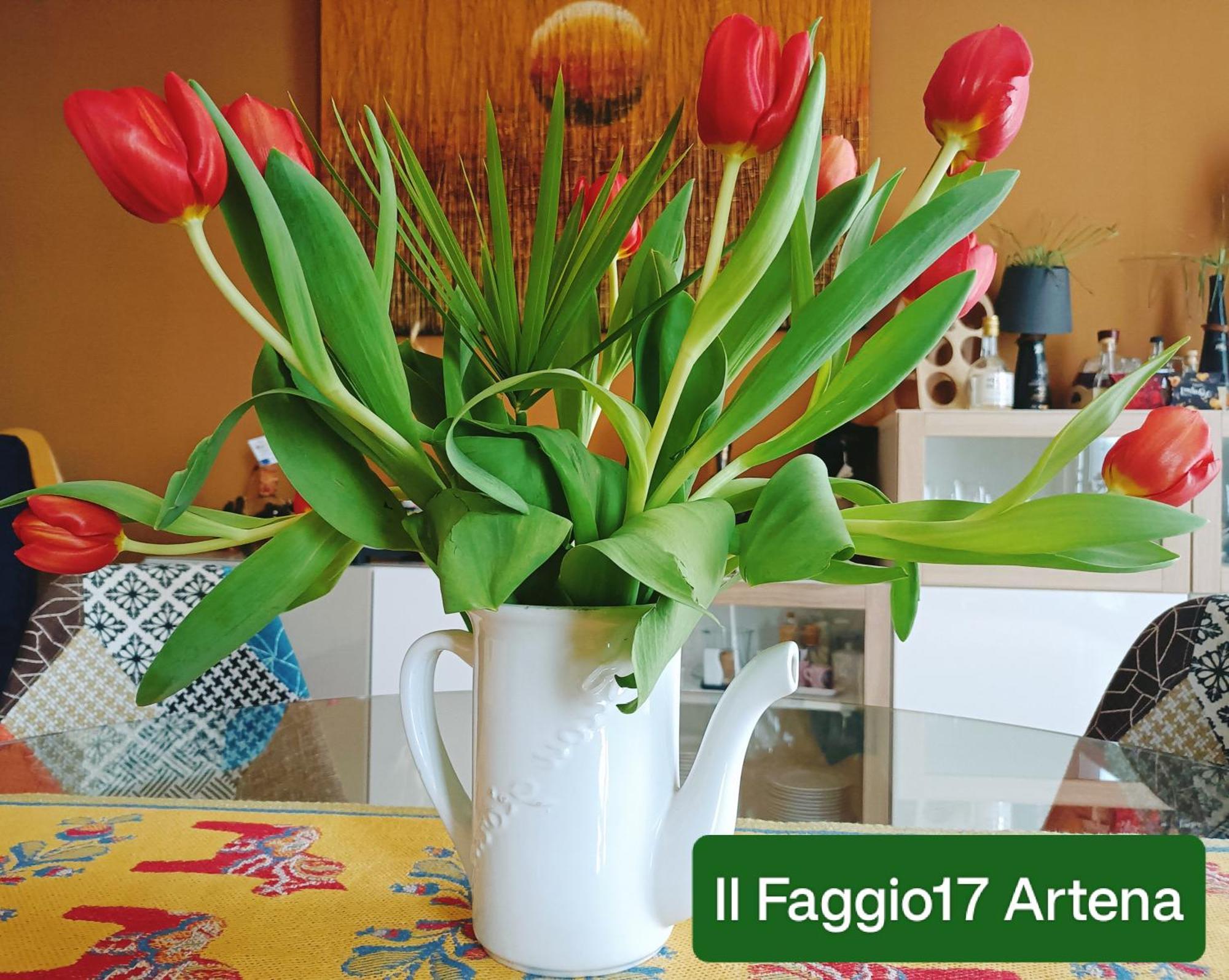 Il Faggio 17 B&B 阿尔泰纳 外观 照片
